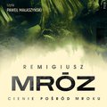 Kryminał: Cienie pośród mroku - audiobook