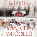 Zima, kiedy wróciłeś - audiobook