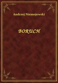 Klasyka: Boruch - ebook
