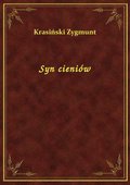 Syn cieniów - ebook