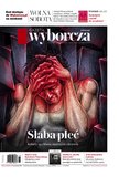 : Gazeta Wyborcza - Kraków - 87/2024
