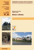 Słowa i słówka. Podręcznik do nauki języka polskiego. Słownictwo i gramatyka dla początkujacych (A1, A2) - ebook