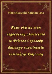 : Rzut oka na stan tegoczesny oświecenia w Polscze i sposoby dalszego rozwinięcia instrukcyi krajowey - ebook