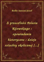: Z przeszłości Polesia Kijowskiego : opowiadania historyczne : dzieje szlachty okolicznej [...] - ebook