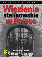 : Więzienia stalinowskie w Polsce. System, codzienność, represje - ebook