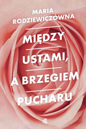 Między ustami, a brzegiem pucharu – ebook